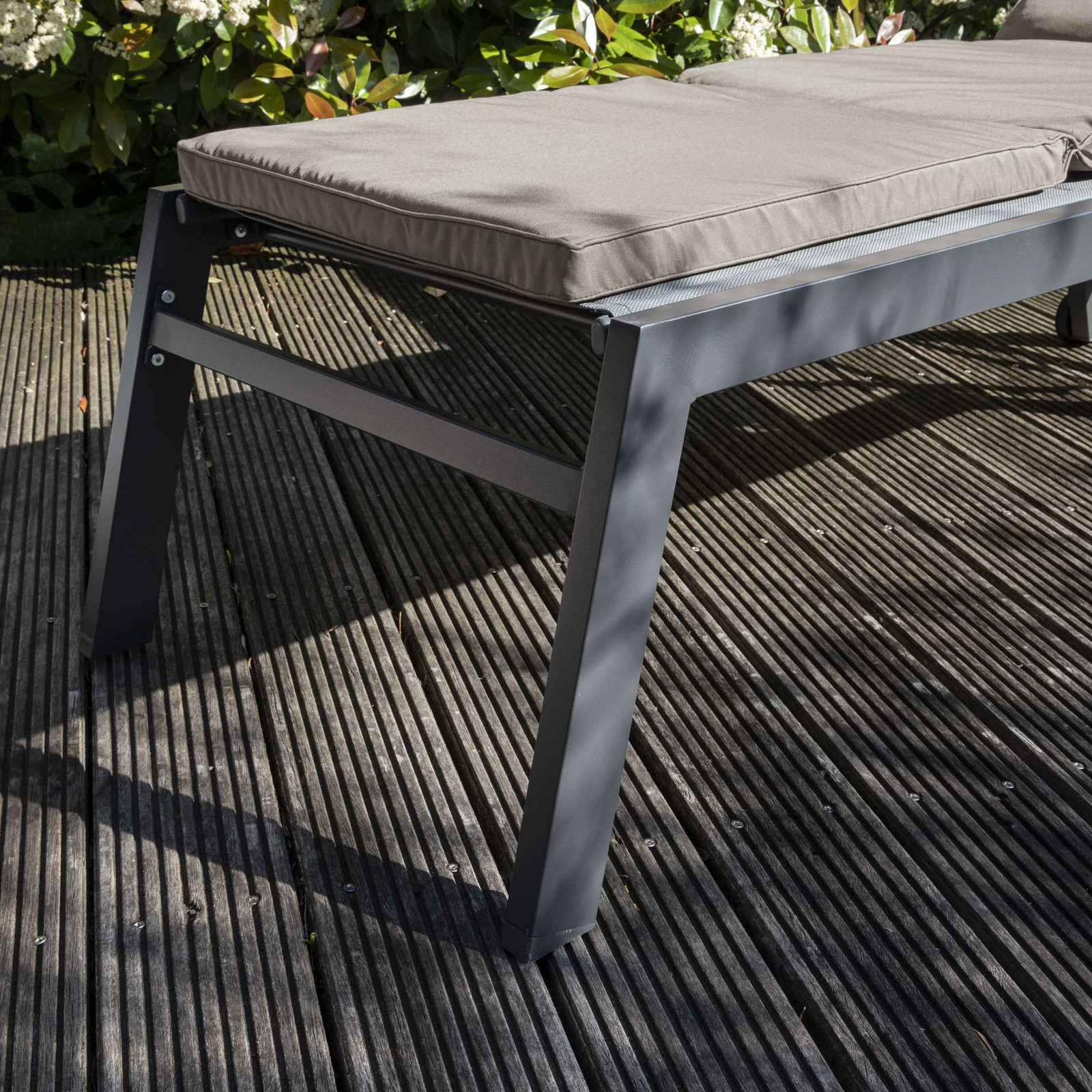 Colchón tumbona topo