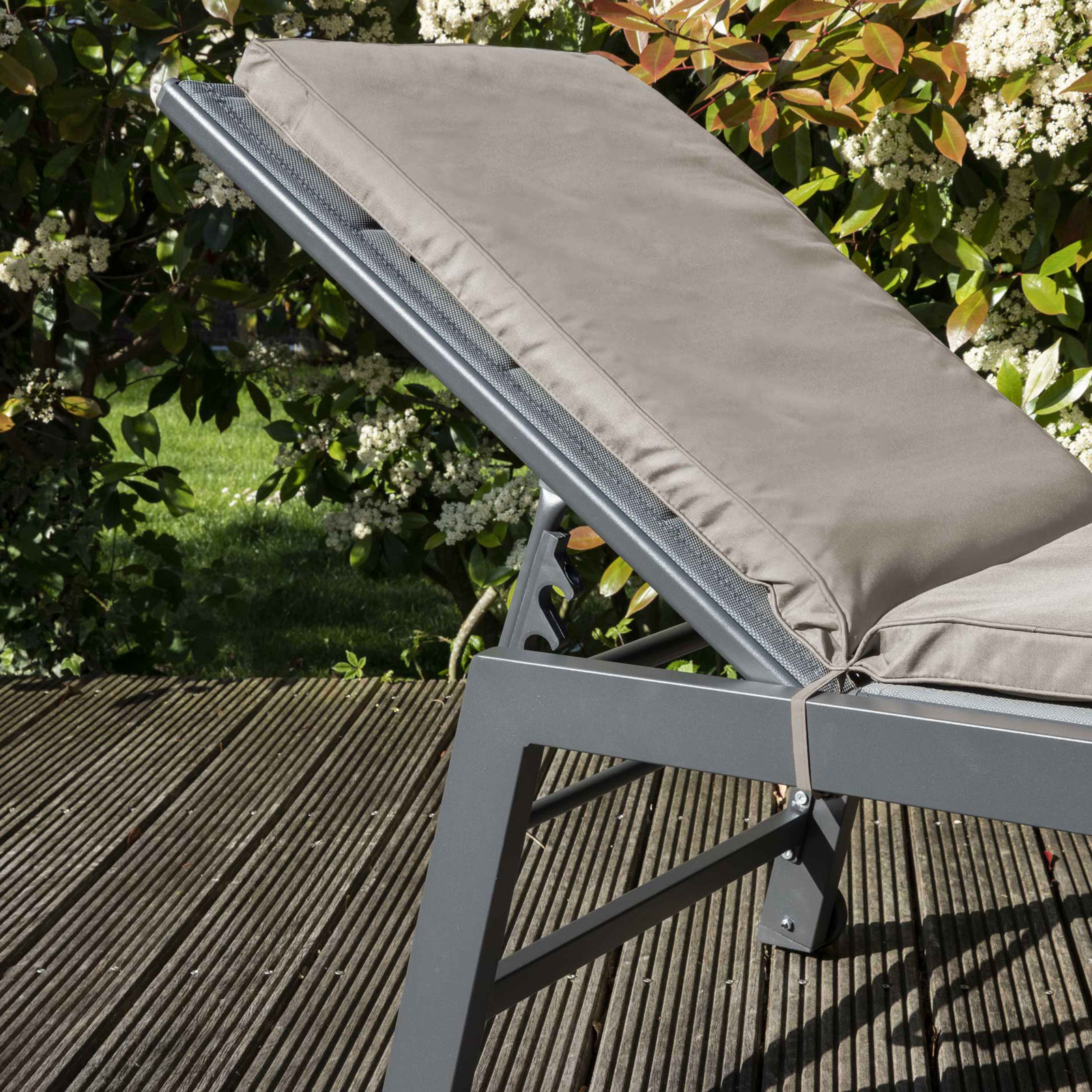 Colchón tumbona topo