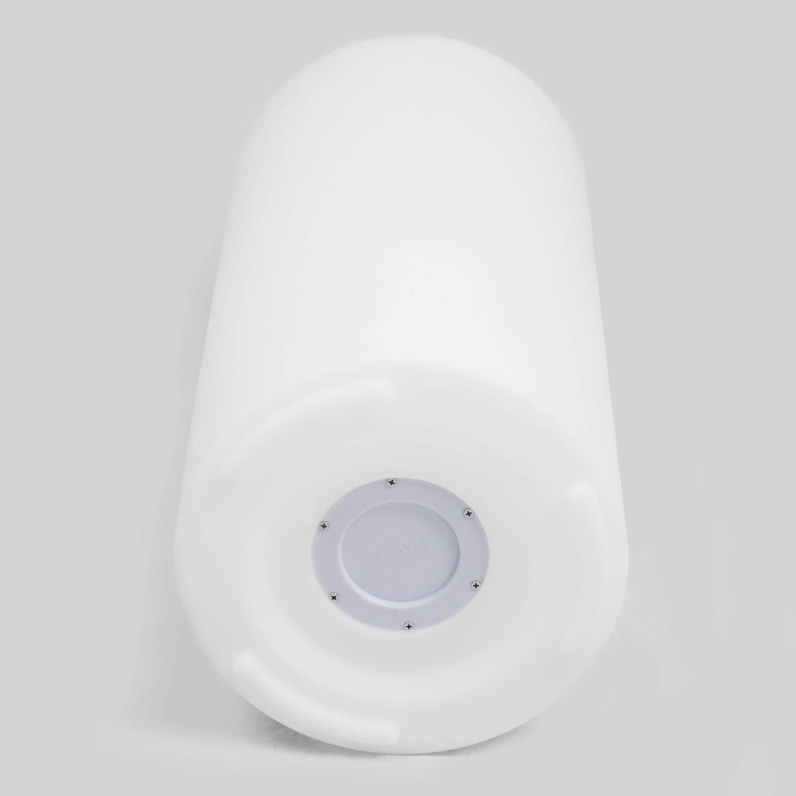 Maceta luminosa LED (ø40 x 89 cm)