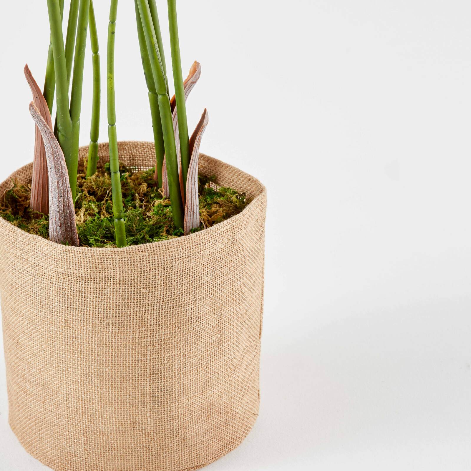 Strelitzia artificial en maceta altura 90 cm