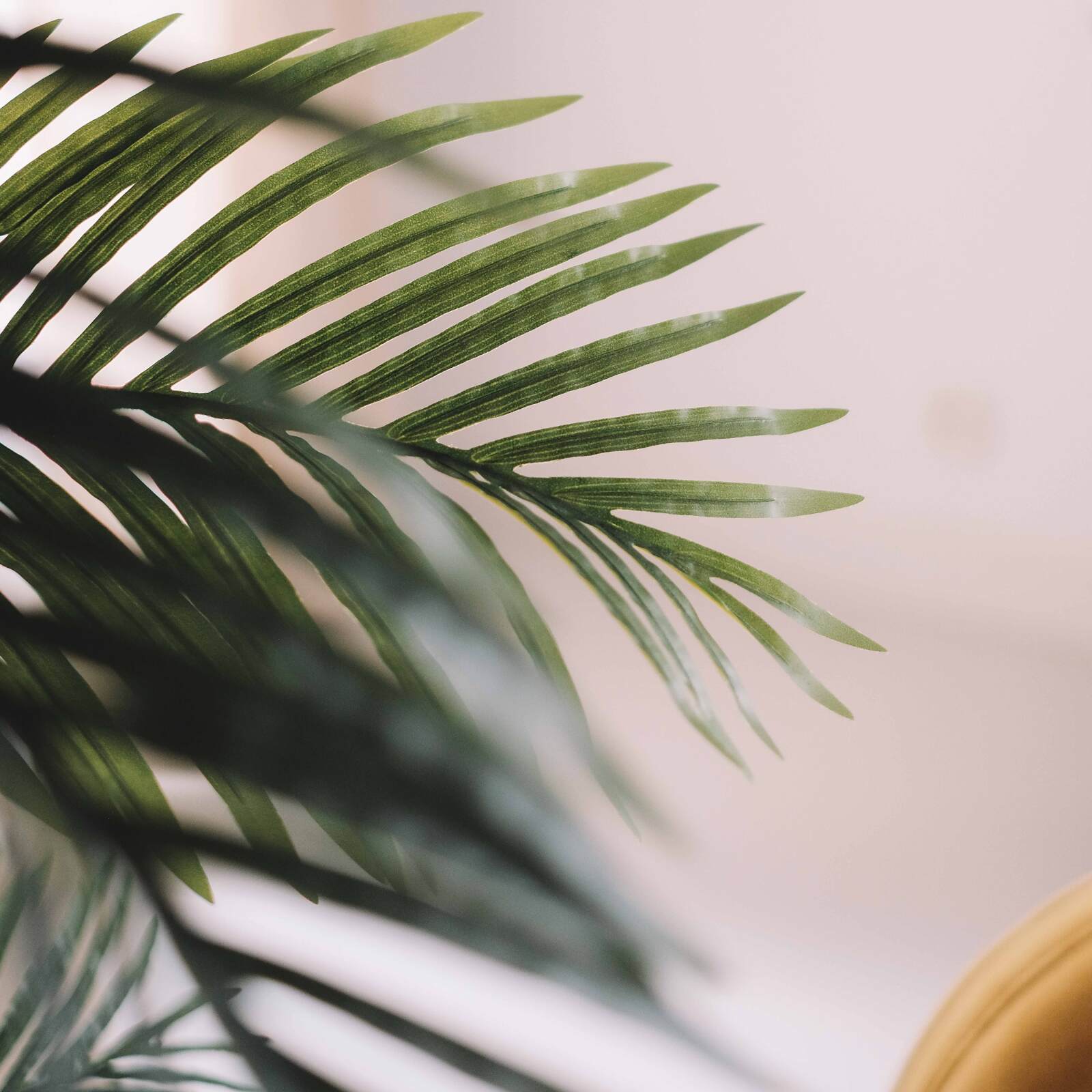 Palmera artificial en maceta 210 cm de altura