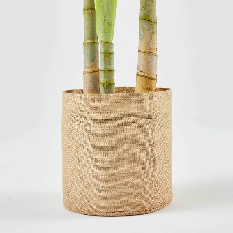 Palmera artificial en maceta 210 cm de altura (6/7)