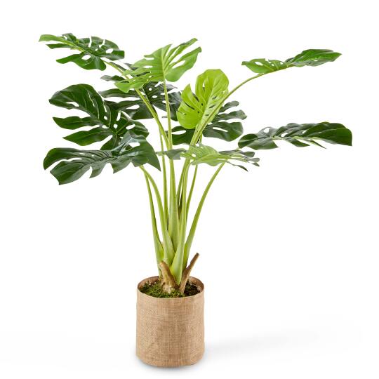 Monstera Deliciosa artificial en maceta altura 90 cm