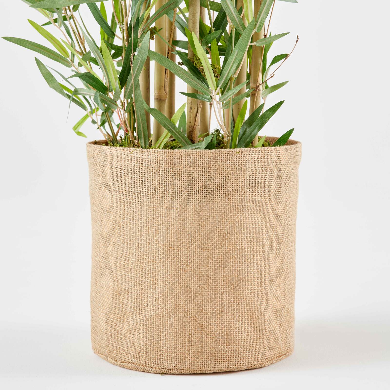 Bambú artificial en maceta altura 170 cm