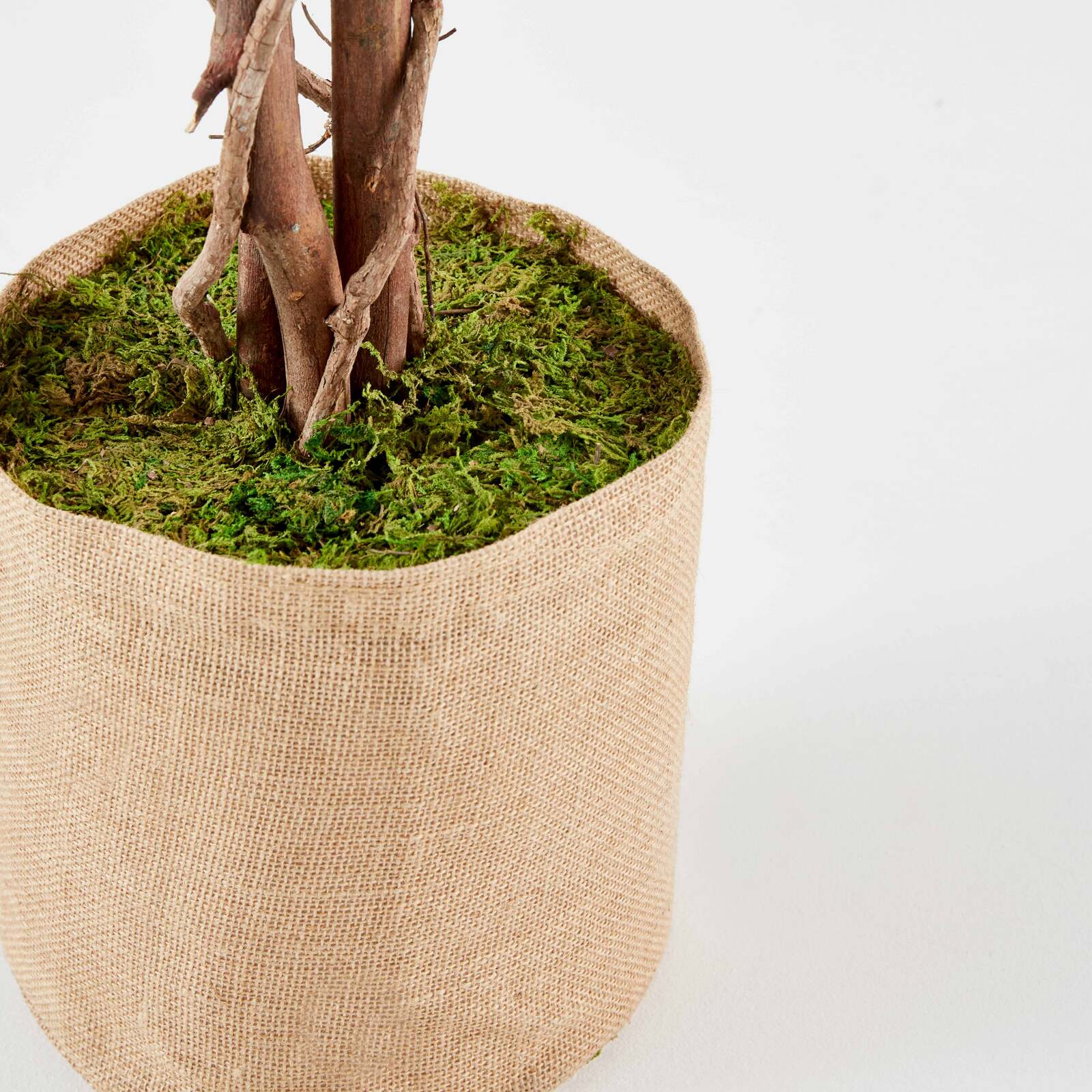 Ficus artificial en maceta altura 180 cm