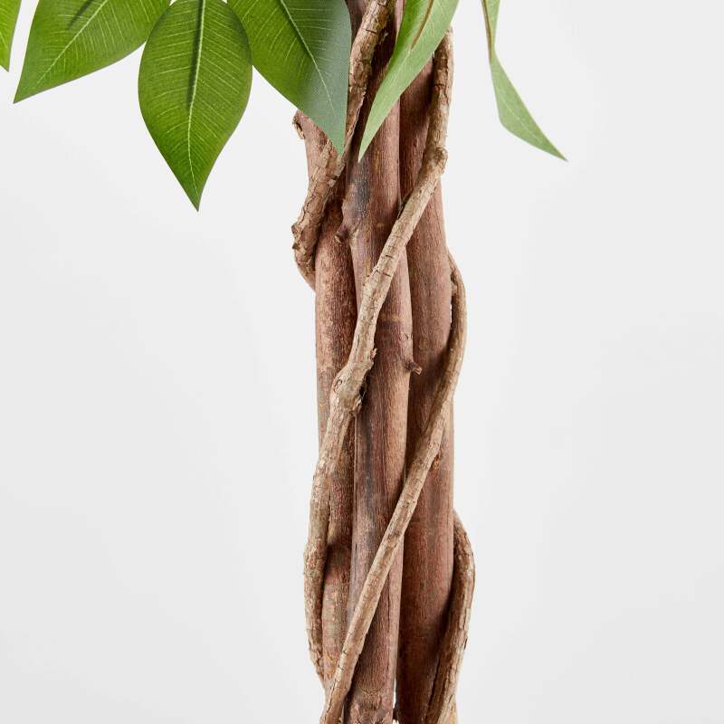 Ficus artificial en maceta altura 180 cm (3/7)