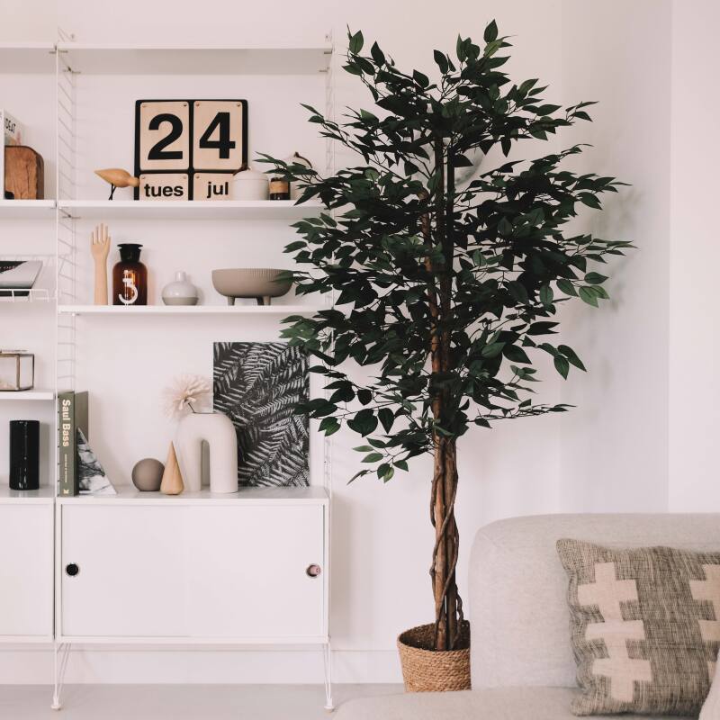 Ficus artificial en maceta altura 180 cm (5/7)