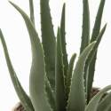 Aloe vera artificial en maceta altura 43 cm