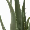 Aloe vera artificial en maceta altura 43 cm