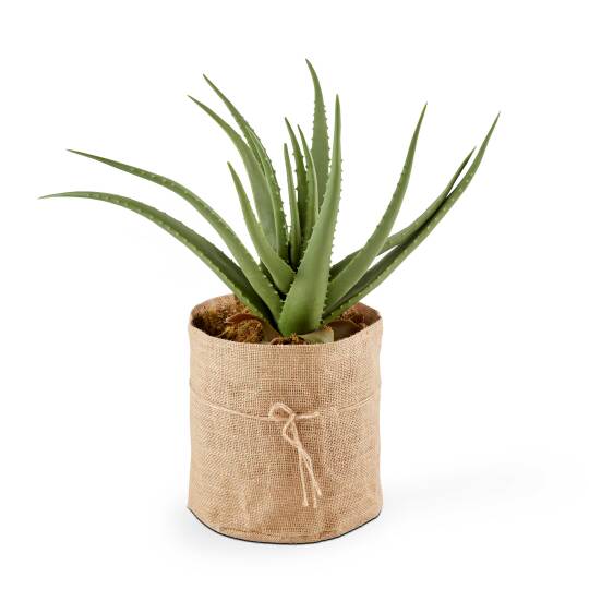 Aloe vera artificial en maceta altura 43 cm