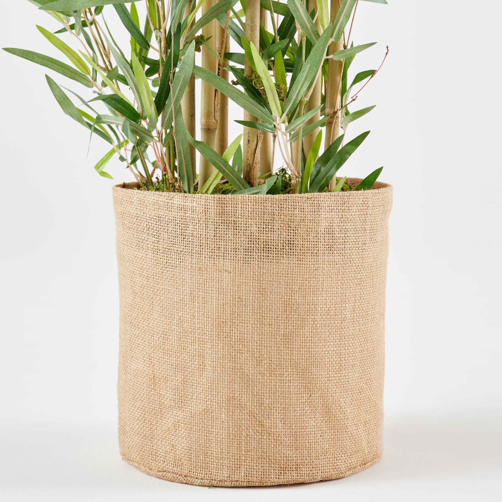 Bambú artificial fargesia en maceta altura 120 cm