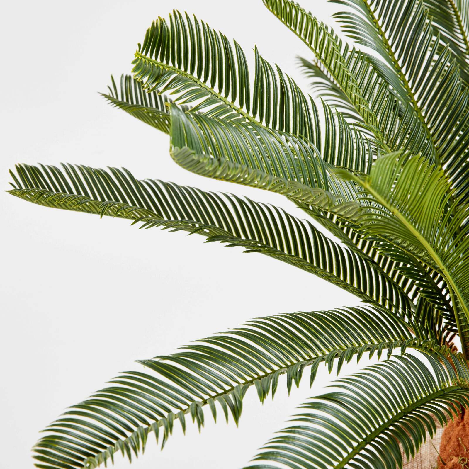 Cycas artificial en maceta altura 65 cm