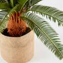 Cycas artificial en maceta altura 65 cm