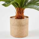 Cycas artificial en maceta altura 65 cm