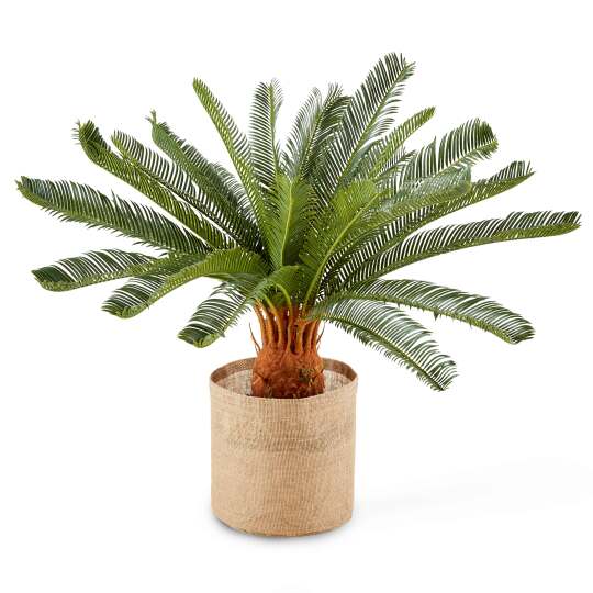 Cycas artificial en maceta altura 65 cm