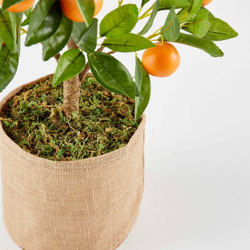 Planta artificial de naranjo en maceta, altura 75 cm (4/5)