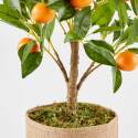 Planta artificial de naranjo en maceta, altura 75 cm