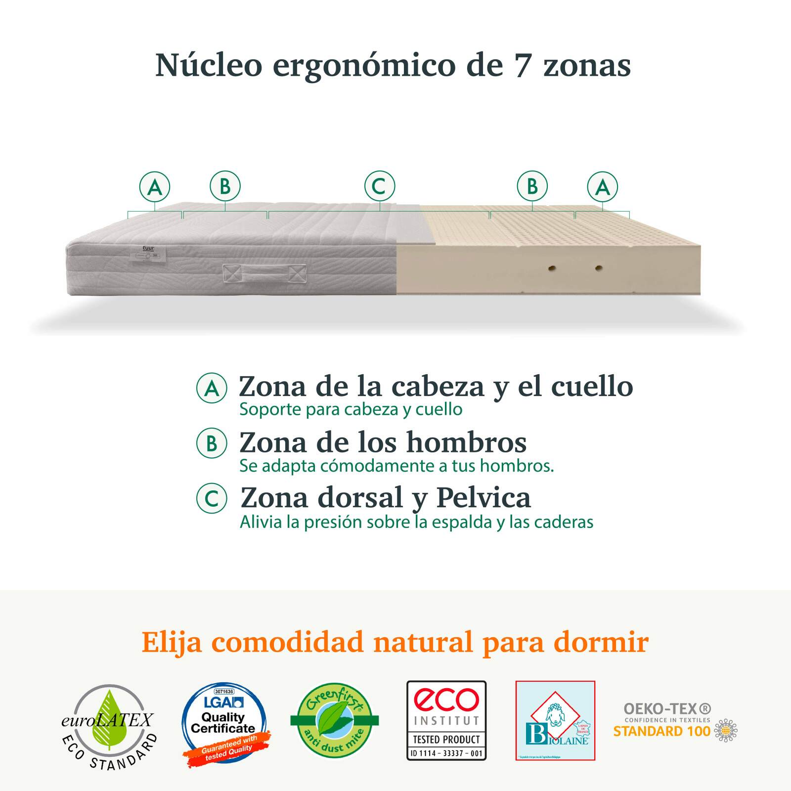 Colchón ergonómico de látex Tuur One