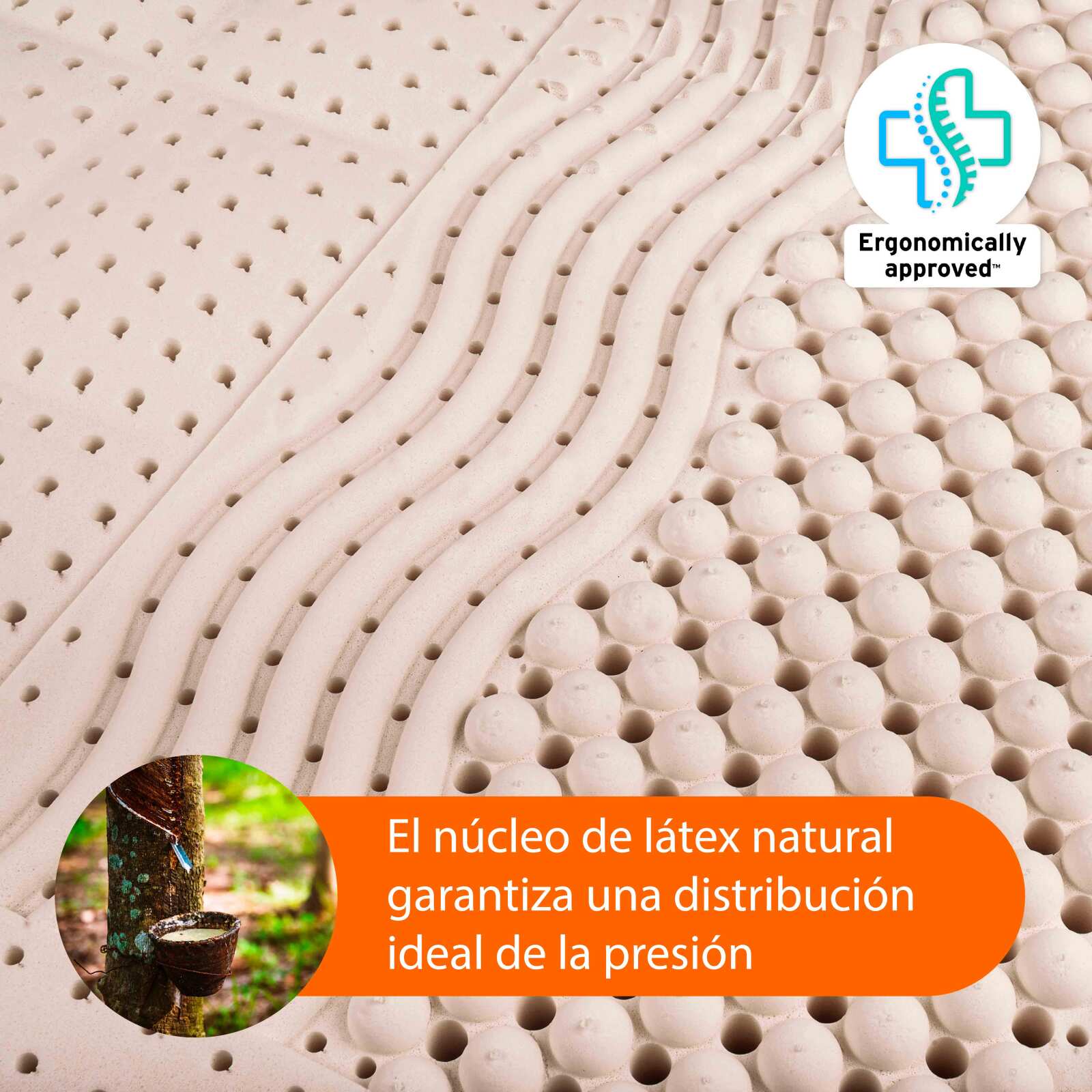 Colchón ergonómico de látex Tuur One Colchón ergonómico de látex Tuur One