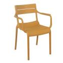 Silla de terraza de plástico con reposabrazos