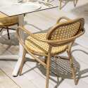 Silla de jardín de aluminio y ratán sintético con reposabrazos