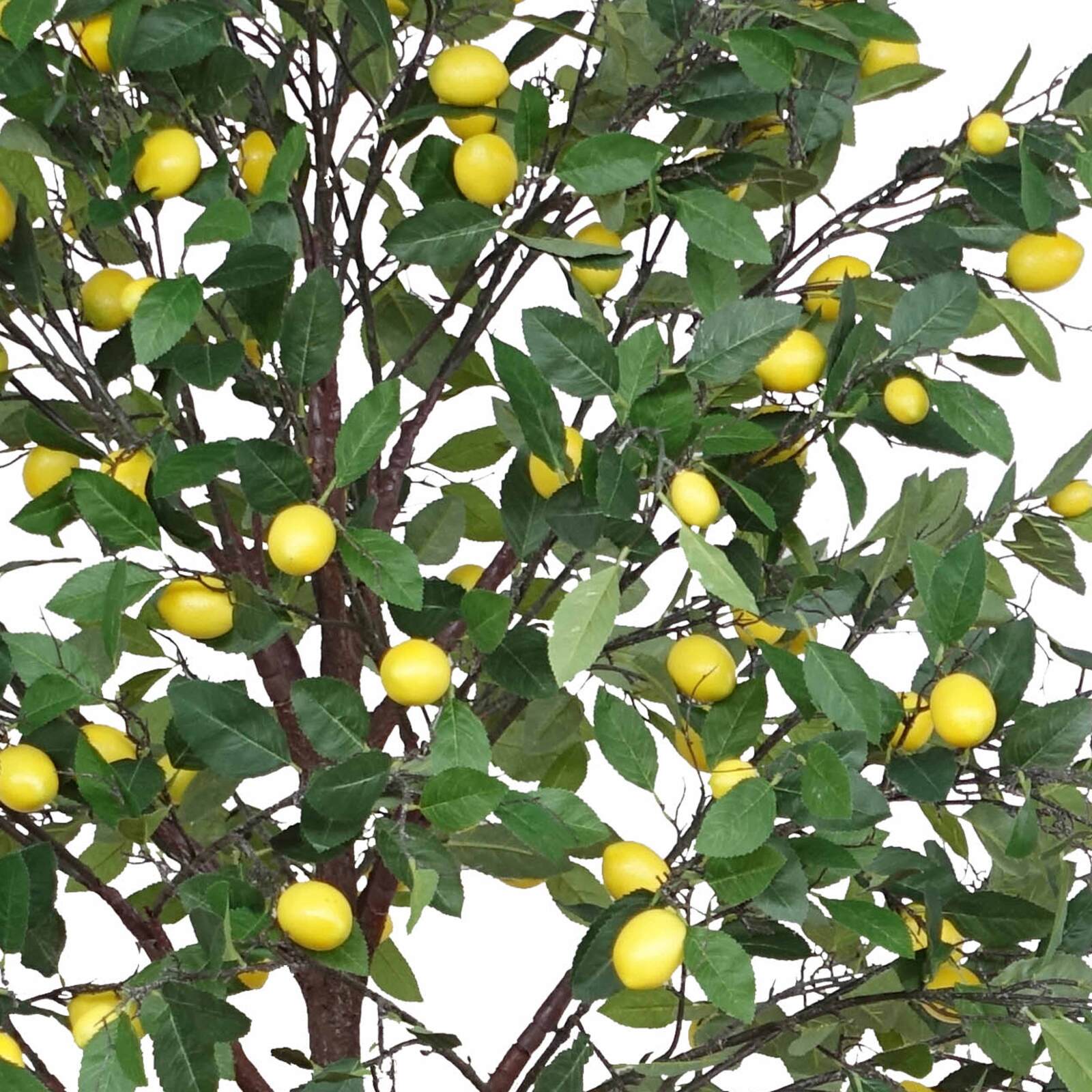 Limonero artificial altura 200 cm