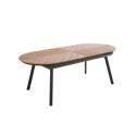 Mesa de jardín extensible rectangular (220/280 x 100 x 76 cm) en aluminio y polimadera
