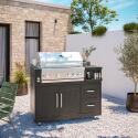 Cocina exterior de acero de 2 elementos con barbacoa