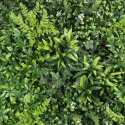 Follaje de pared verde artificial elegante premium interior y exterior 100x100 cm