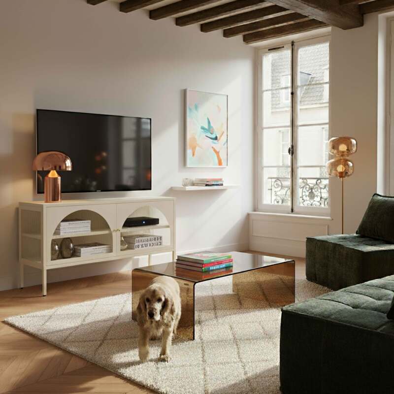 Mueble TV 115cm de metal de estilo moderno (8/9)