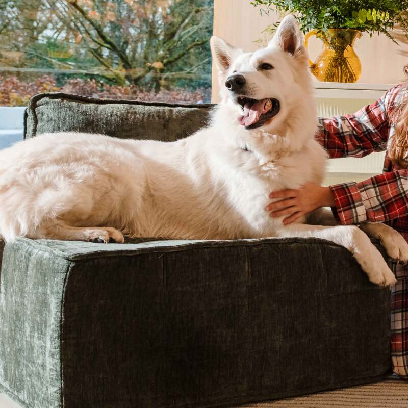 Sofá modular de 2 plazas de tela con cojines (2/7)