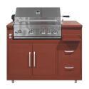 Mueble de acero para barbacoa de gas con 4 + 1 quemadores para cocina de exterior