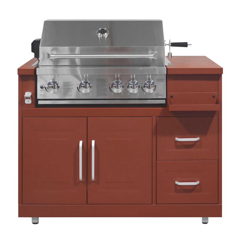 Mueble de acero para barbacoa de gas con 4 + 1 quemadores para cocina de exterior (3/7)